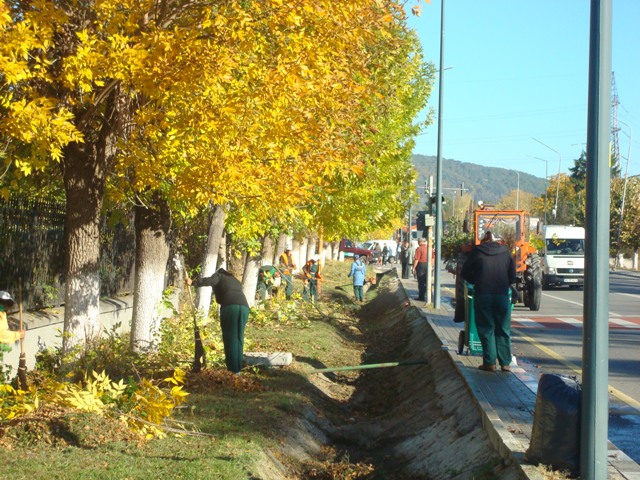 DSC05896
