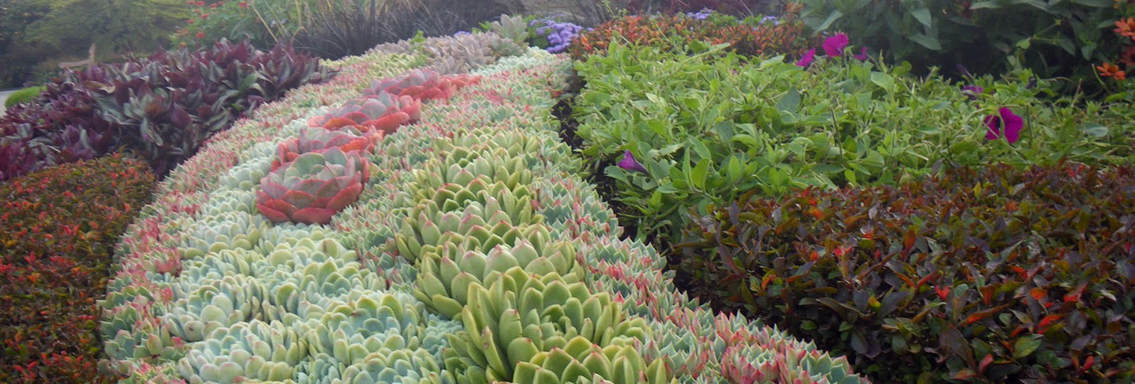 Vinaora Nivo Slider 3.x