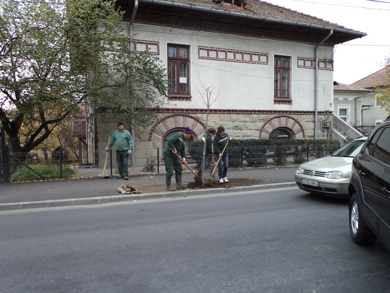 DSC04109
