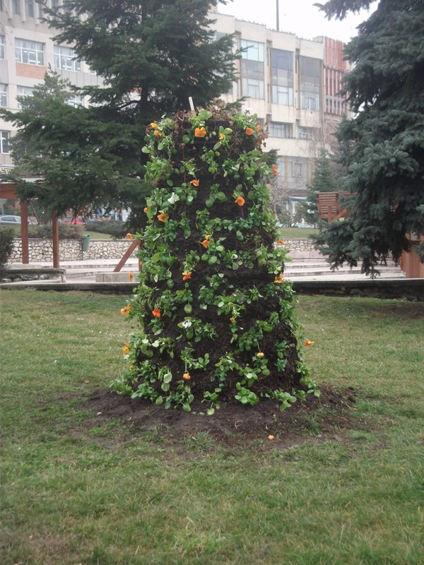 DSCF2295