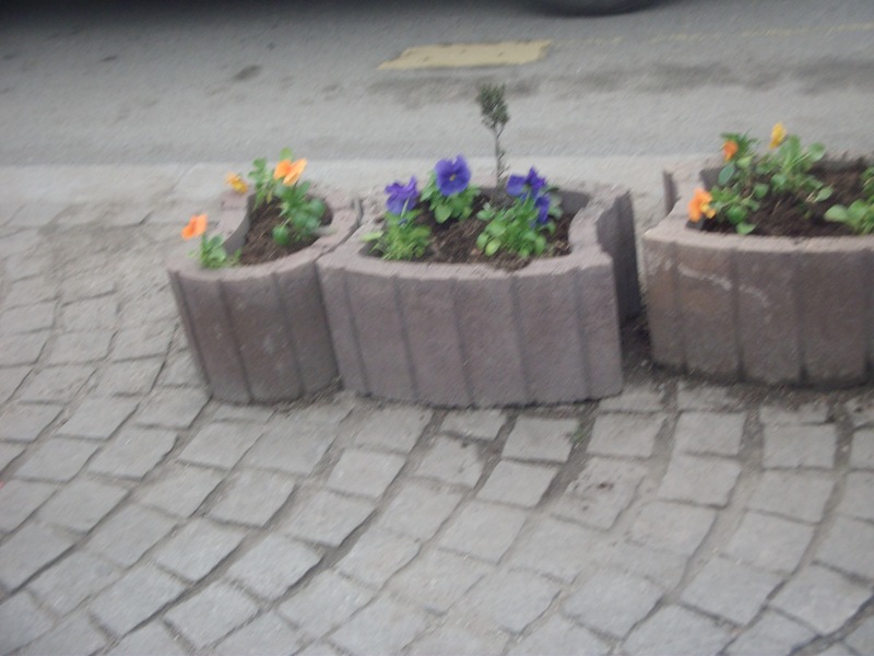 DSCF2297