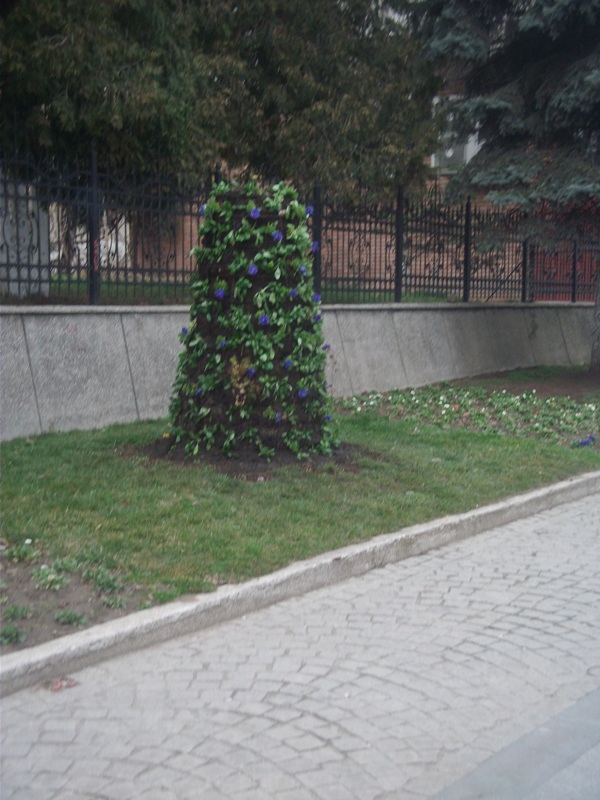 DSCF2304